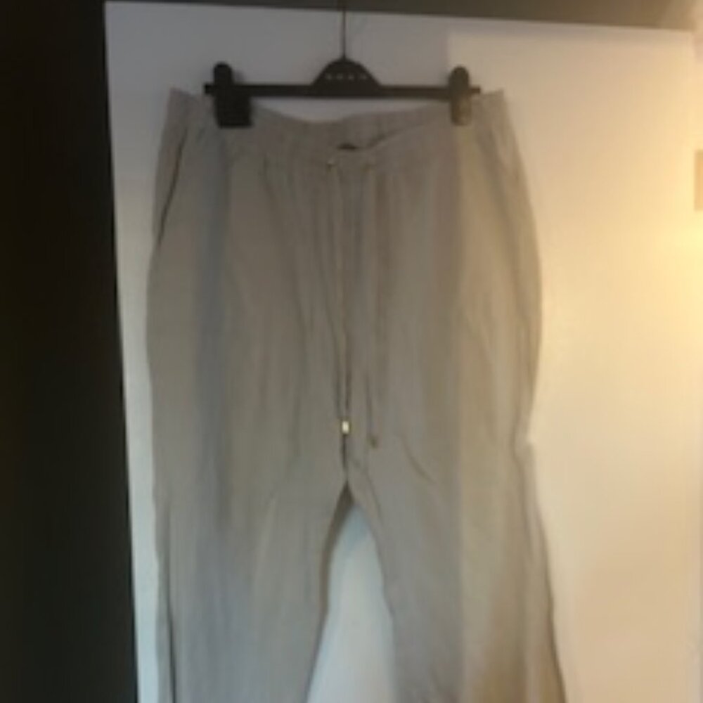 Ellen Tracey XL Linen pants